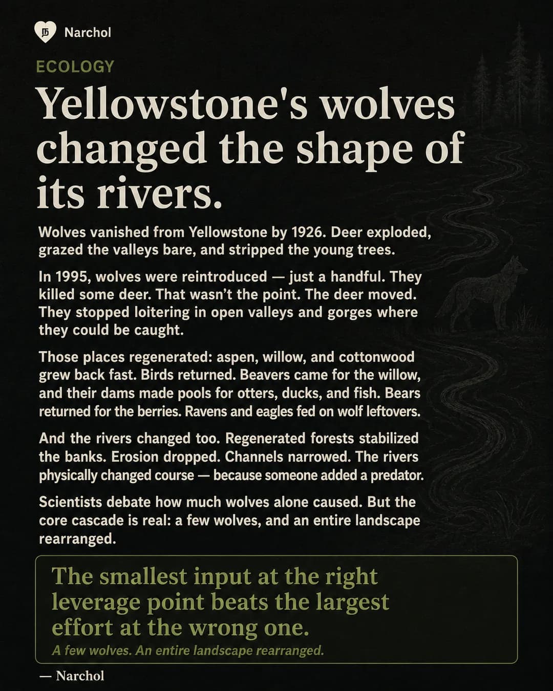 A wolf on a dark hillside above a river that winds down the length of the card