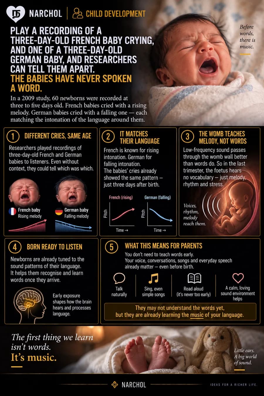 A 2009 study finding French newborns cry with a rising melody and German newborns with a falling one, matching the intonation heard through the womb wall in the last trimester